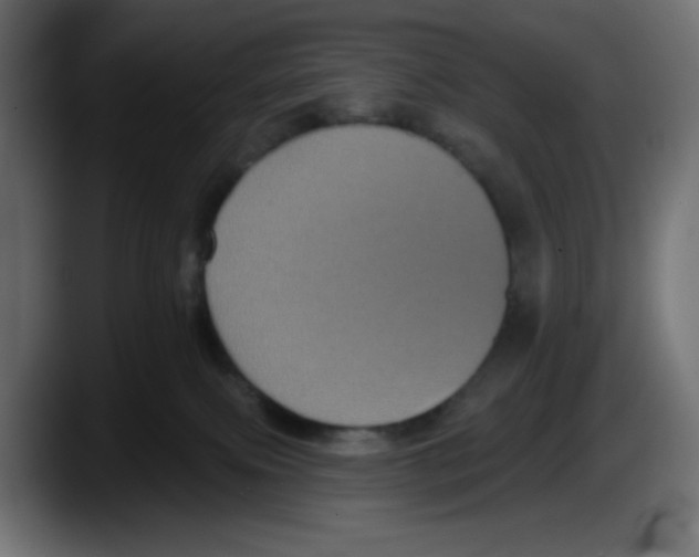 X0000087530087200705251708