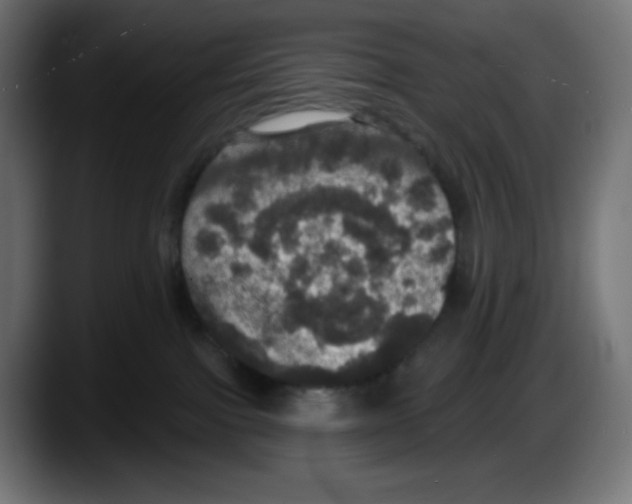 X0000087530091200705251708