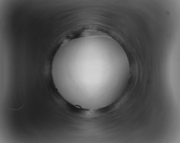 X0000087530092200705251708