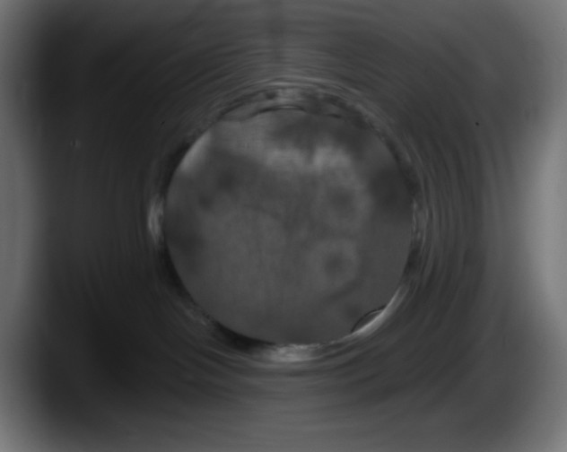 X0000087530094200705251708