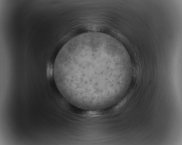X0000087530095200705251708