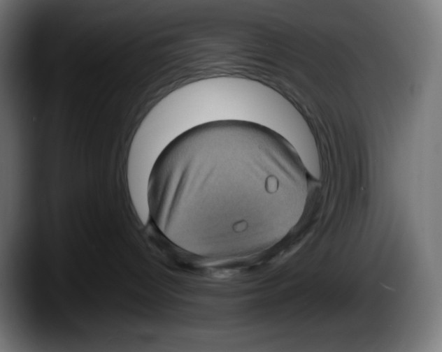 X0000087530096200705251708