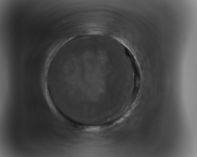 X0000087530097200705251708