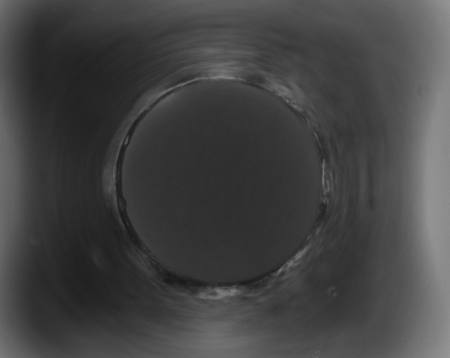 X0000087530099200705251708