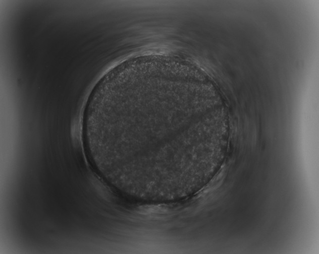 X0000087530100200705251708