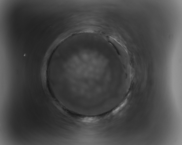 X0000087530101200705251708