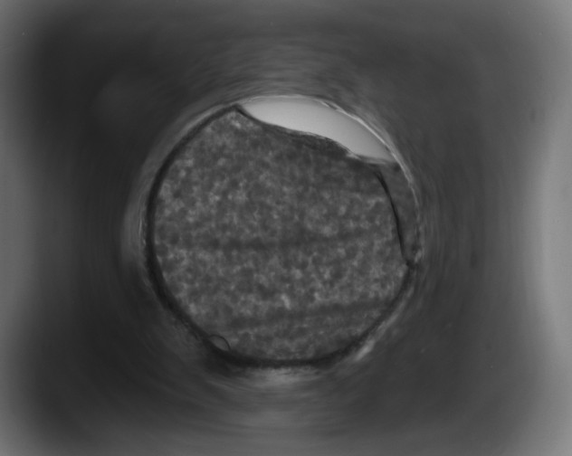 X0000087530103200705251708