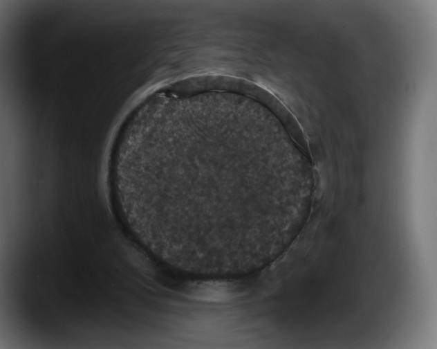 X0000087530104200705251708