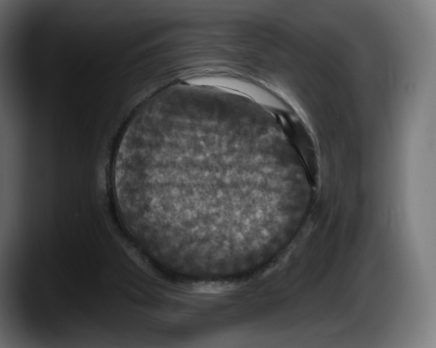 X0000087530105200705251707