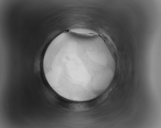 X0000087530106200705251707