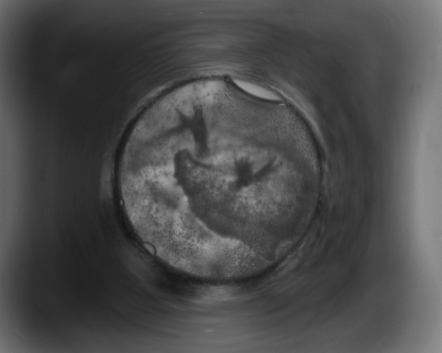 X0000087530107200705251707