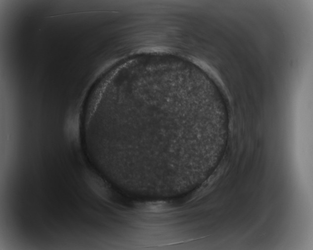 X0000087530108200705251707
