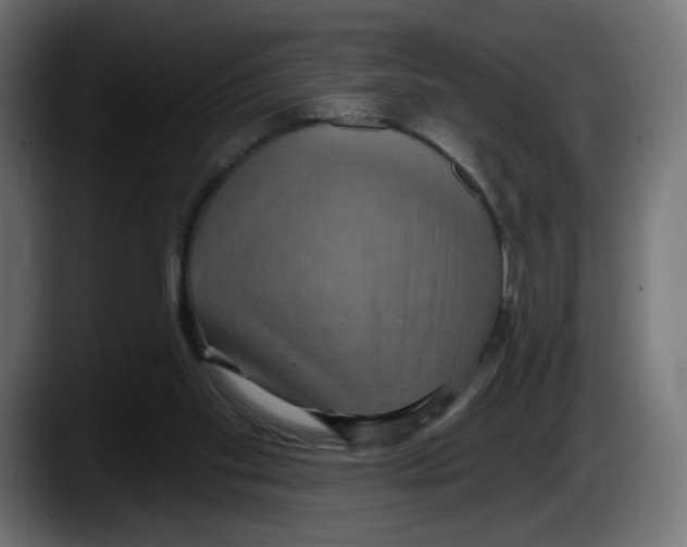 X0000087530109200705251707