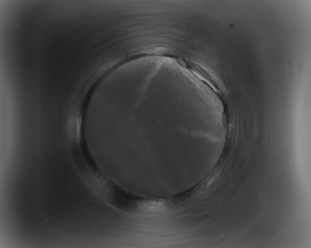 X0000087530110200705251707