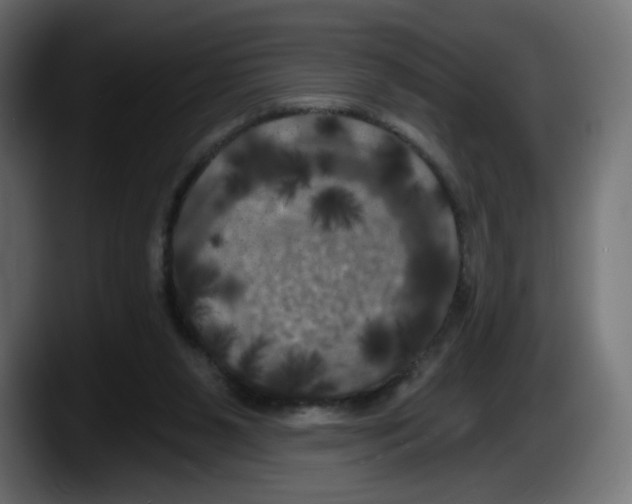 X0000087530111200705251707
