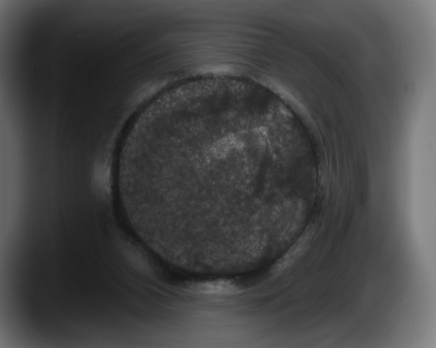 X0000087530112200705251707