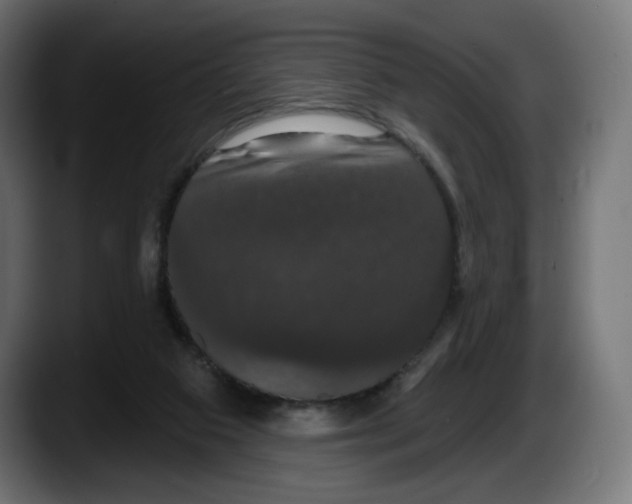 X0000087530113200705251707