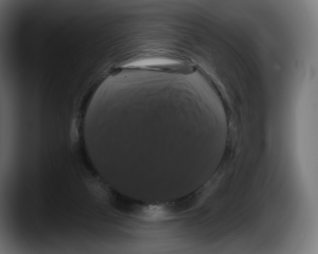 X0000087530114200705251707