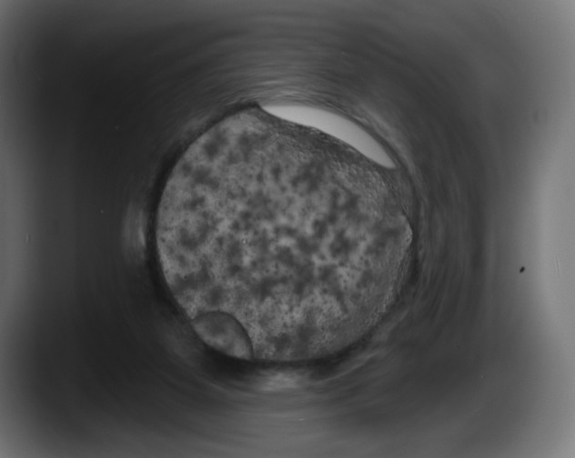 X0000087530115200705251707