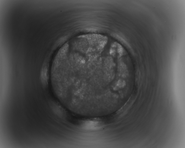X0000087530116200705251707