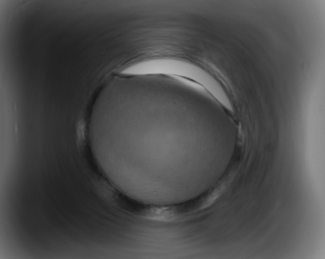 X0000087530117200705251707