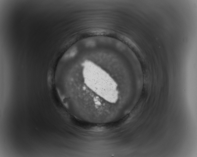 X0000087530119200705251707
