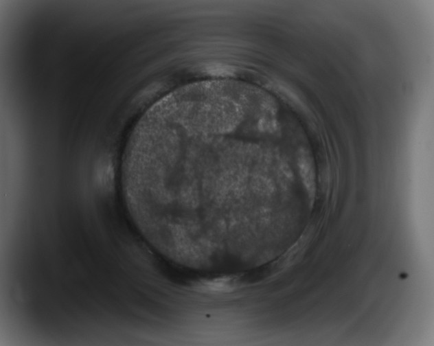 X0000087530120200705251707