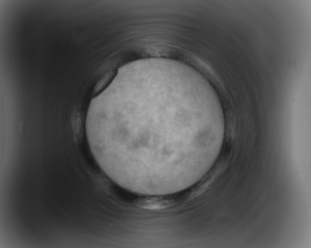 X0000087530121200705251707