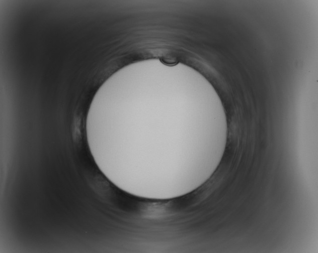 X0000087530122200705251707
