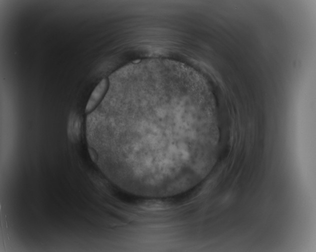 X0000087530123200705251707