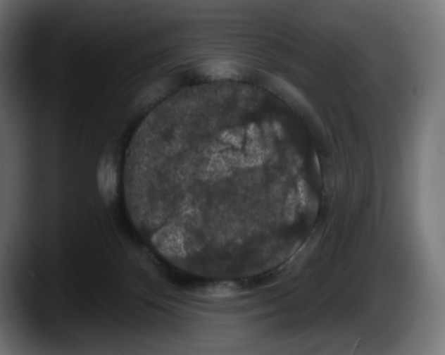 X0000087530124200705251707