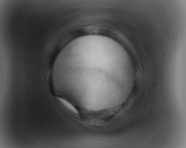 X0000087530125200705251707