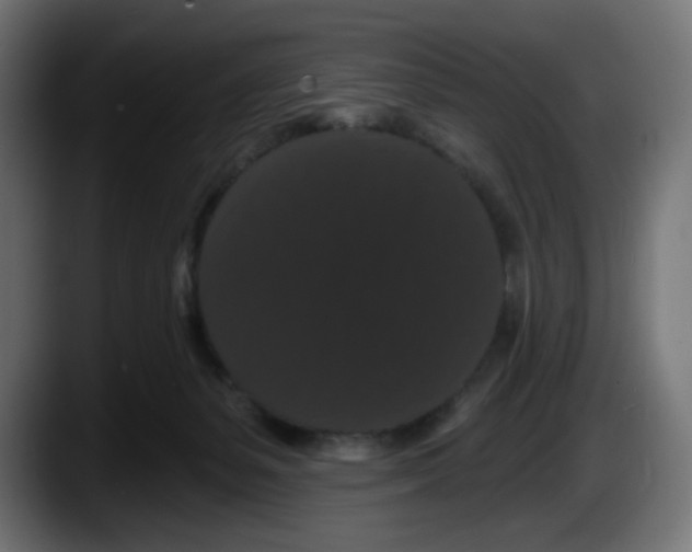X0000087530127200705251707