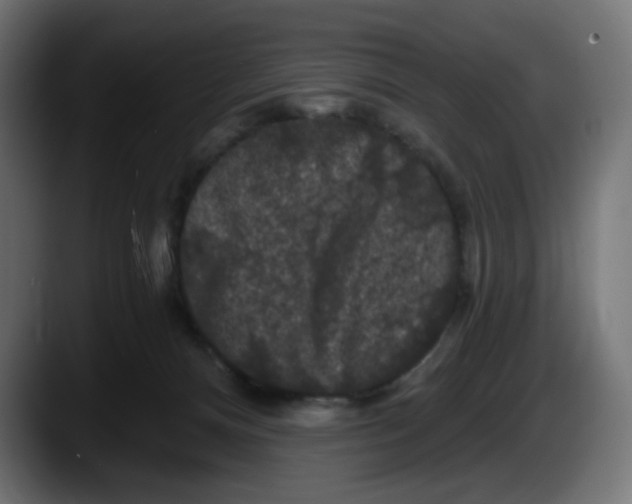 X0000087530128200705251707
