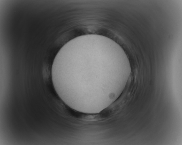 X0000087530129200705251707