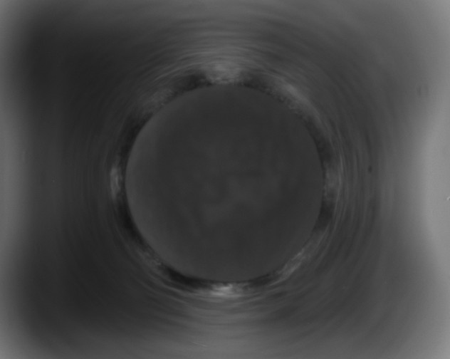 X0000087530130200705251707