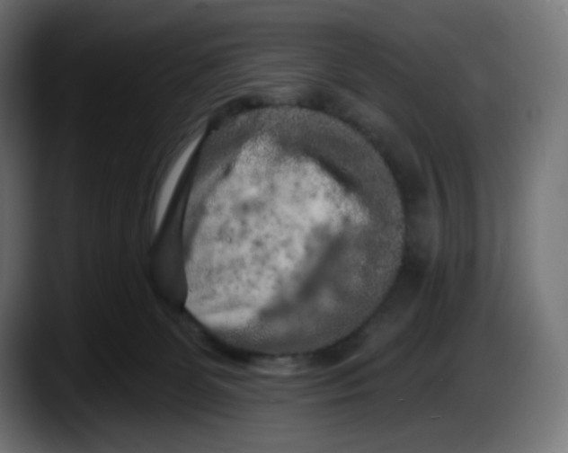 X0000087530131200705251707