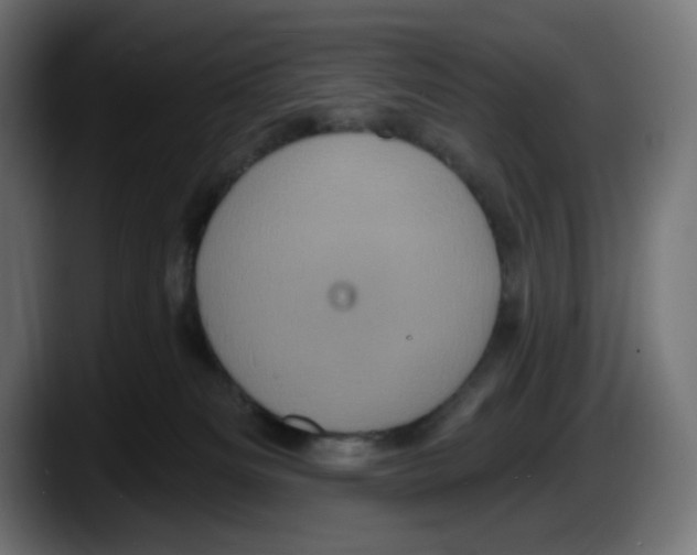 X0000087530133200705251707