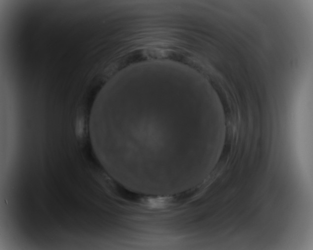 X0000087530134200705251707