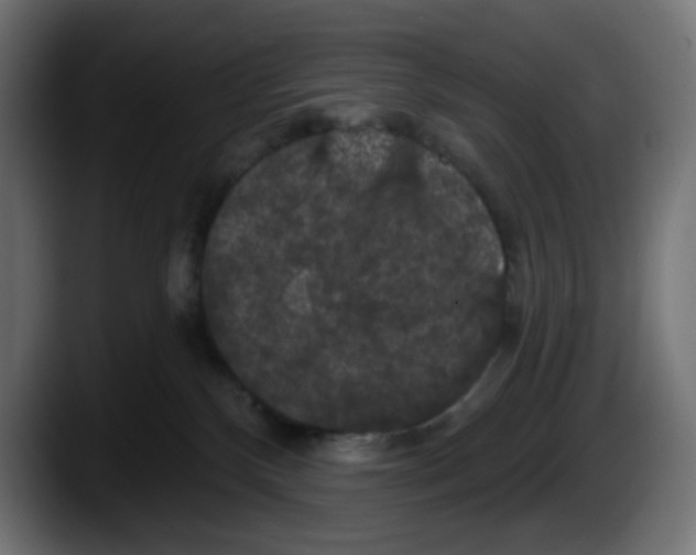X0000087530136200705251707