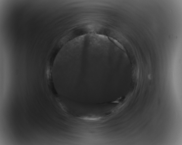 X0000087530137200705251707