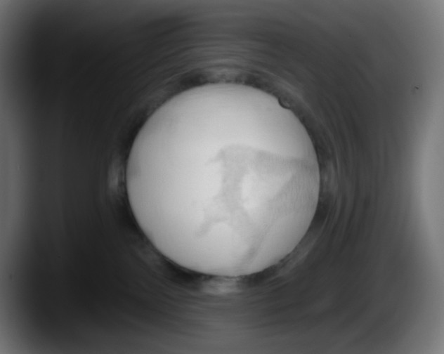 X0000087530138200705251707