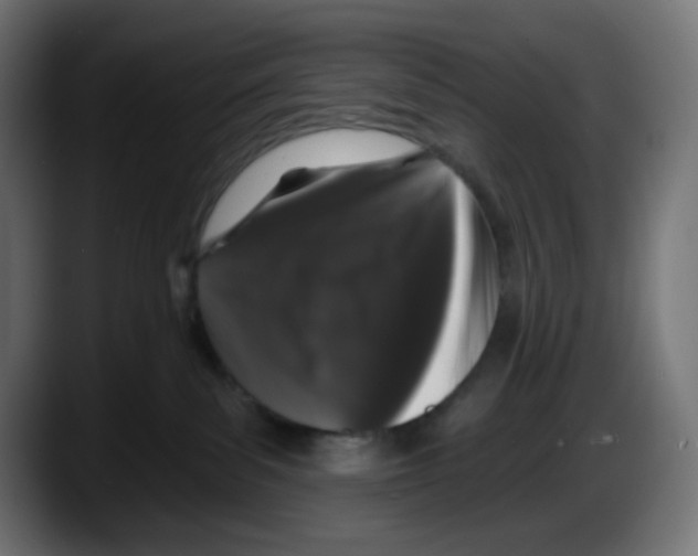 X0000087530139200705251707