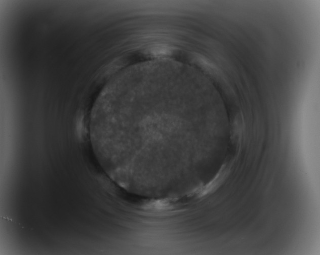 X0000087530140200705251707