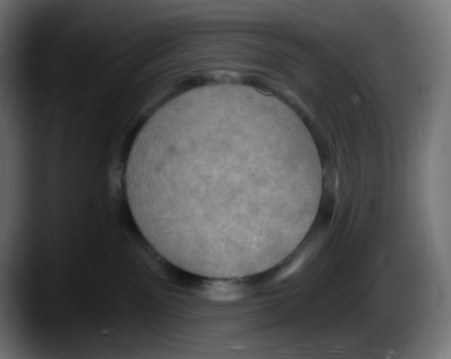 X0000087530141200705251707