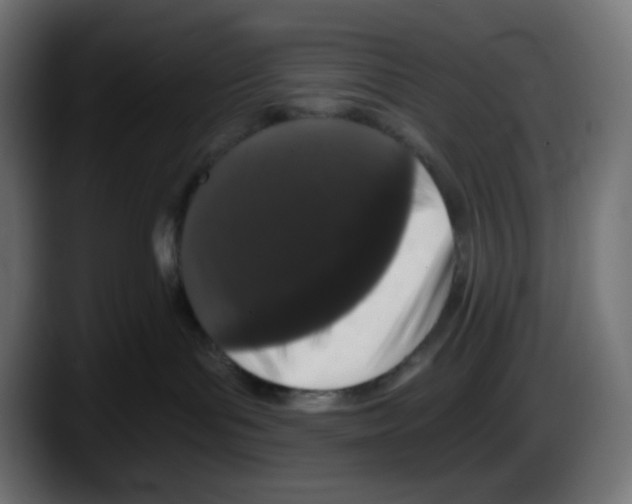X0000087530143200705251707