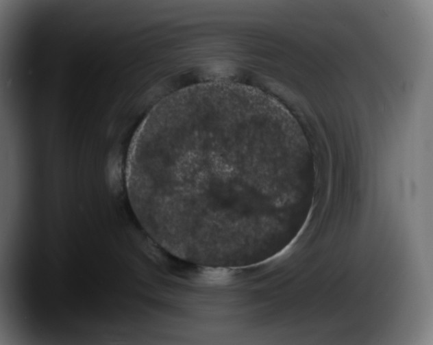 X0000087530144200705251707