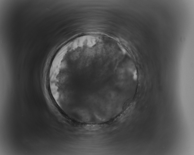 X0000087530145200705251706
