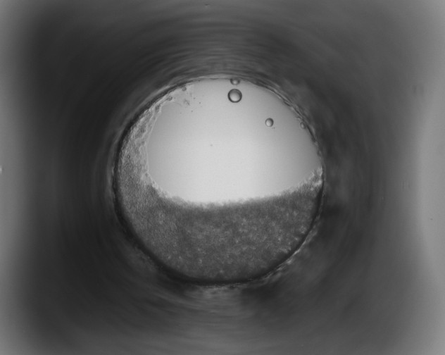 X0000087530146200705251706