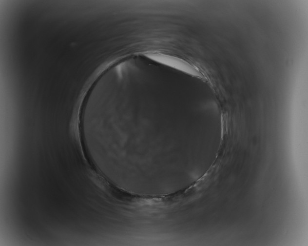 X0000087530147200705251706